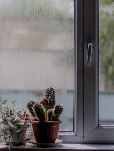 Guide pour sélectionner la couleur parfaite de vos fenêtres