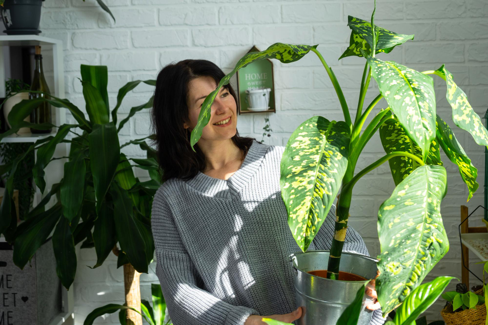 Bienfaits psychologiques et émotionnels