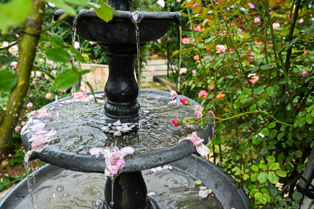 un espace détente dans votre jardin pour un coin de paradis.jpg